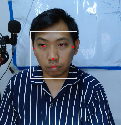 V89 AI Face Detection Computer Vision
